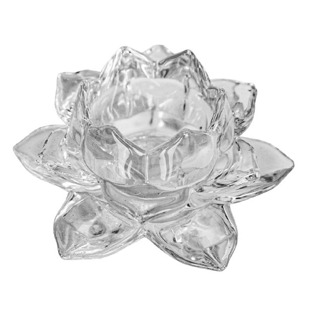 IMG_1143-copiar1 IMG_1143-copiar1