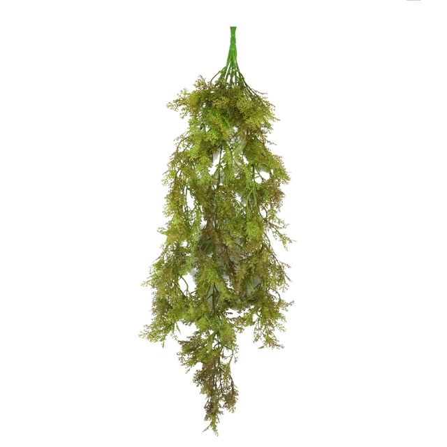 DSC08187edit DSC08187edit