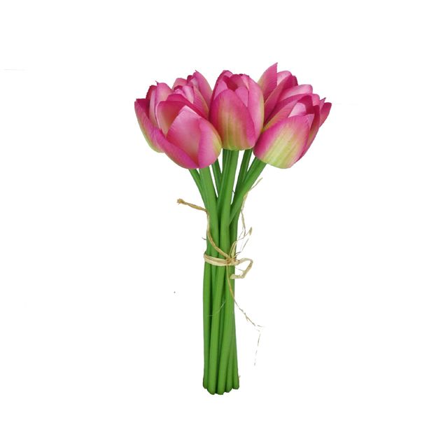 DSC08174edit DSC08174edit