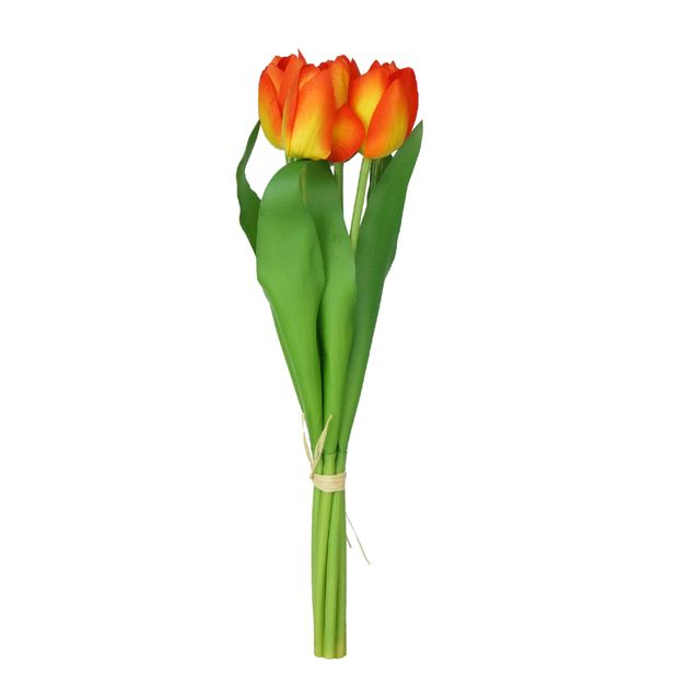 DSC08541edit DSC08541edit