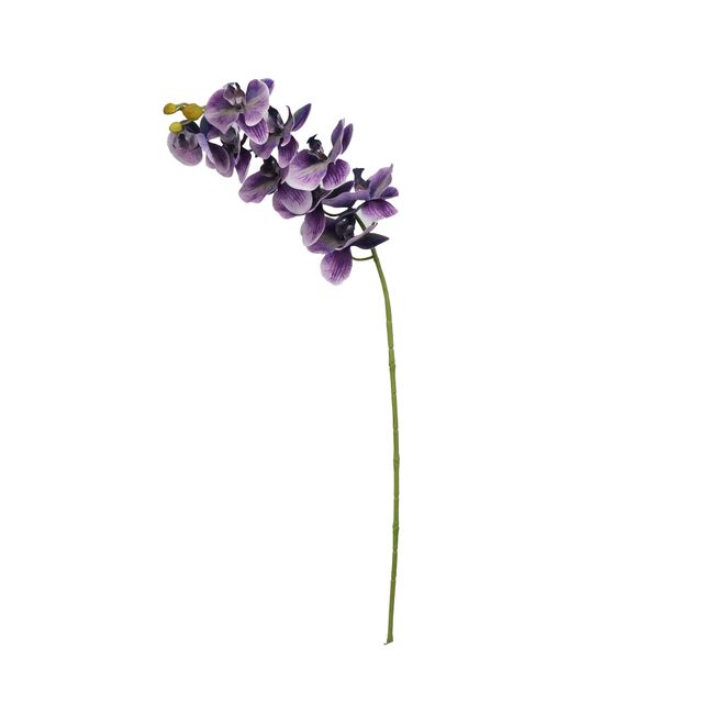 Haste de Orquídea Roxa