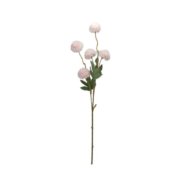 Haste Flor de Alho Rosa Claro Haste Flor de Alho Rosa Claro