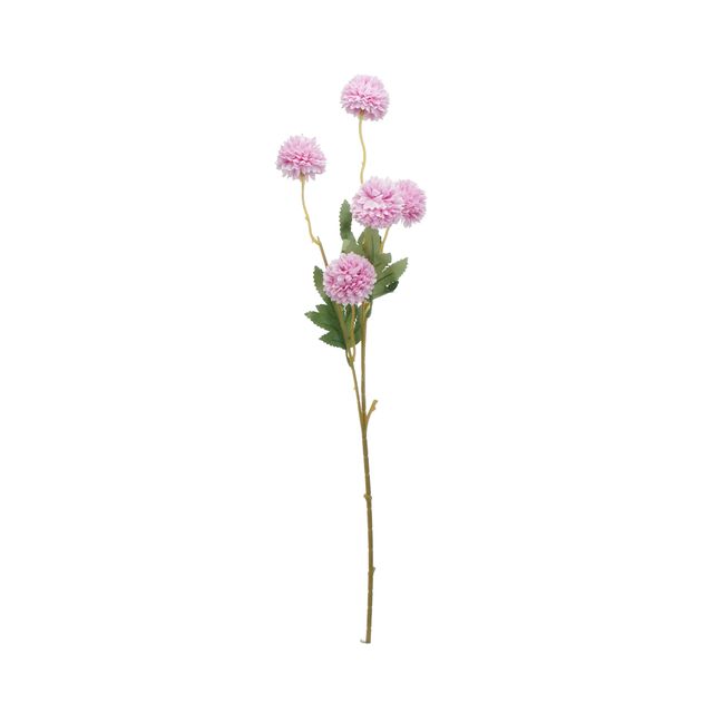 Haste Flor de Alho Lilás