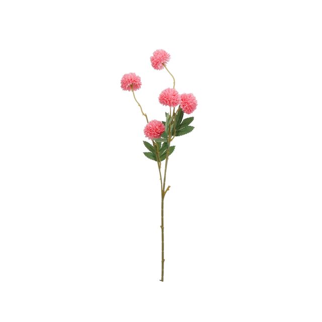 Haste Flor de Alho Rosa
