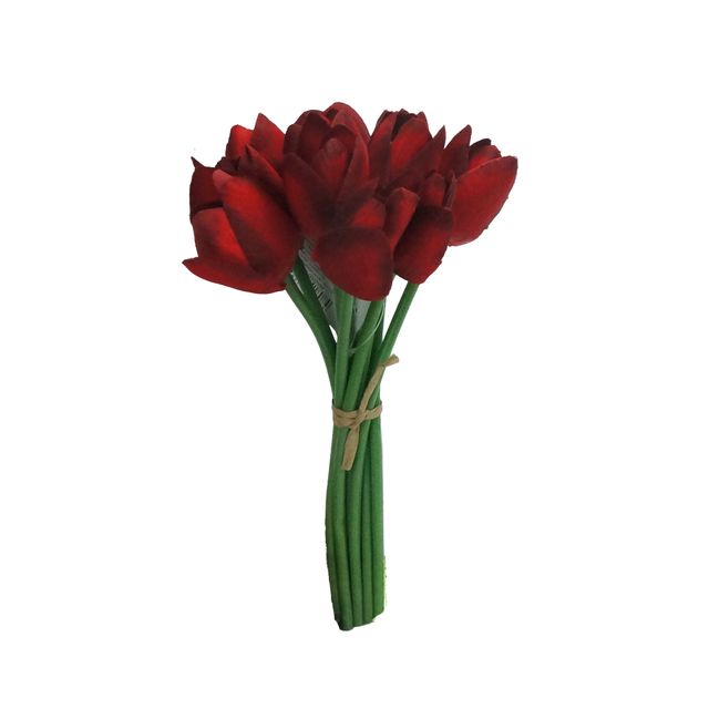 Maço de Tulipa Vermelha 25cm Maço de Tulipa Vermelha 25cm
