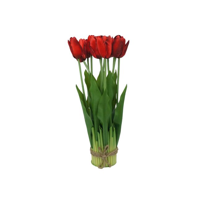 Arranjo Tulipa X12 Vermelha Arranjo Tulipa X12 Vermelha