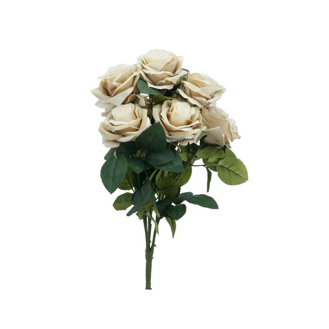 Buquê de Rosa Champanhe Buquê de Rosa Champanhe