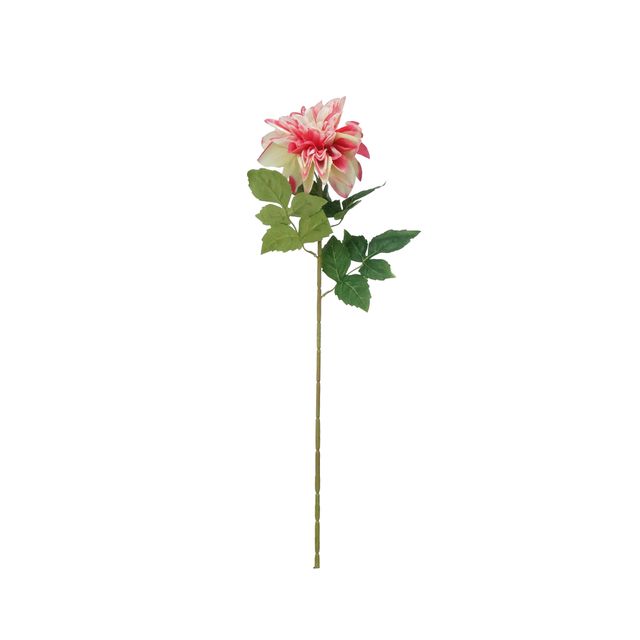 Haste Dália Rosa