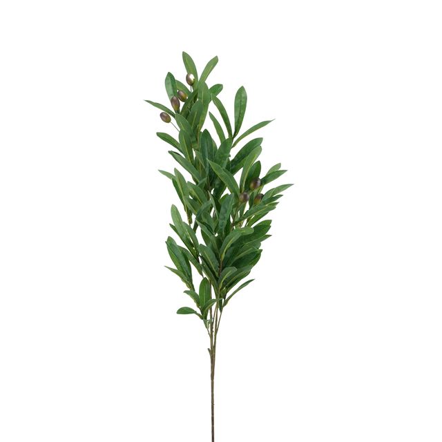 Haste de Folhas Oliveira Verde