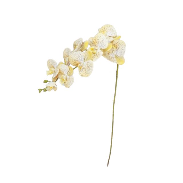 Haste de Orquídea Amarelo Claro