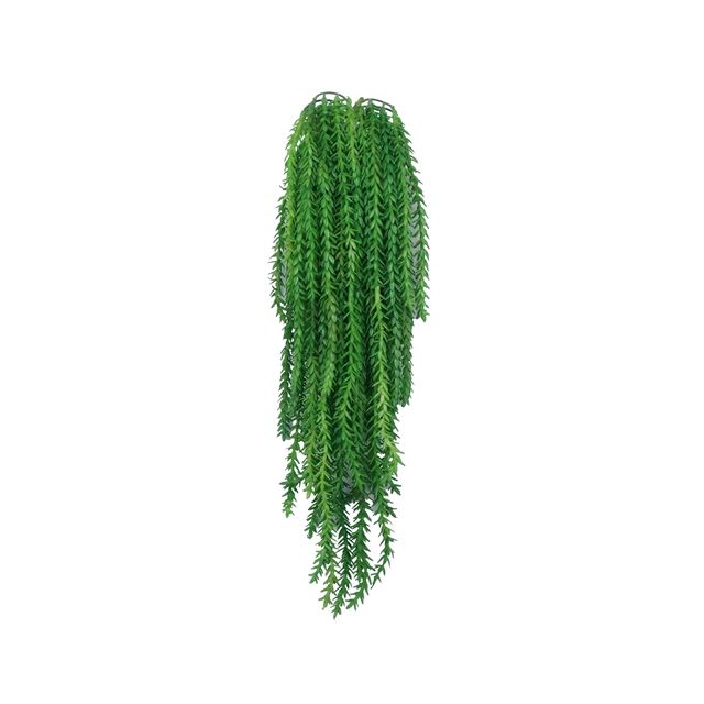 Pendente Suculenta Verde Pendente Suculenta Verde