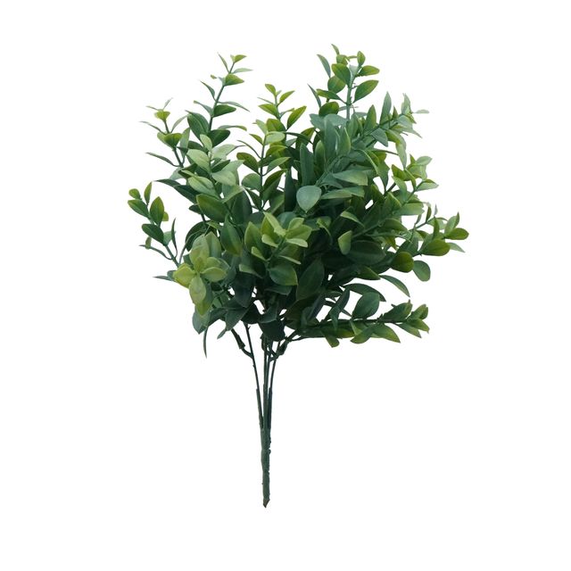 Buquê de Ruscus Buquê de Ruscus