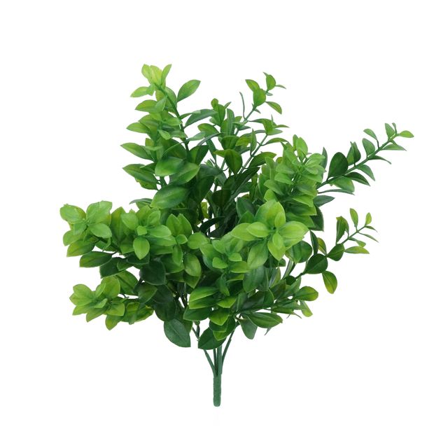 Buquê de Ruscus Verde