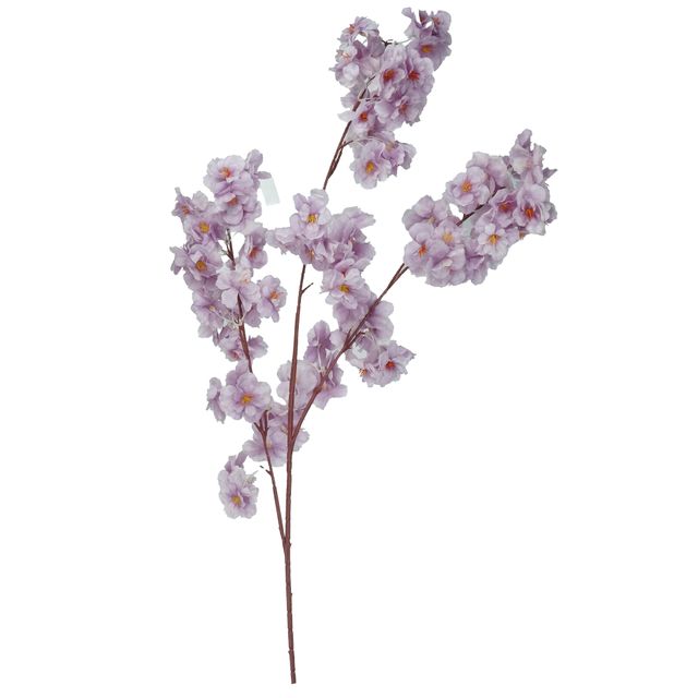 Galho de Cerejeira Lilás