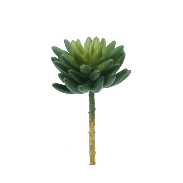 Suculenta Verde Escuro 25cm Suculenta Verde Escuro 25cm
