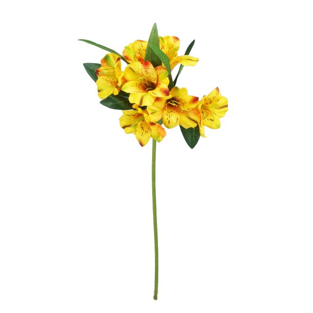 Galho de Astromélia Amarelo Galho de Astromélia Amarelo