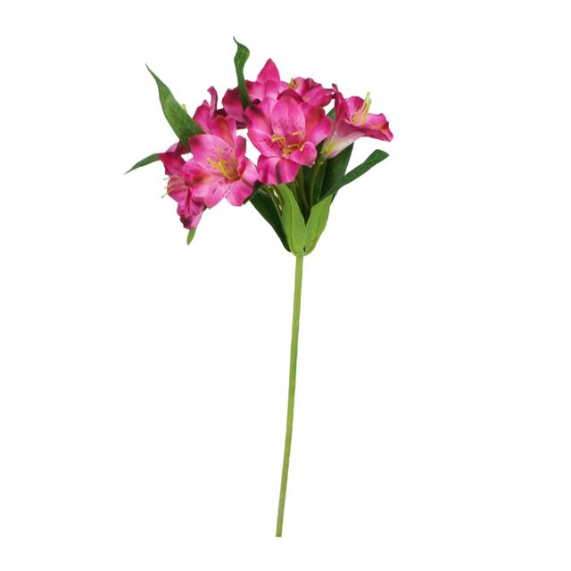 Galho de Astromélia Roxo Galho de Astromélia Roxo