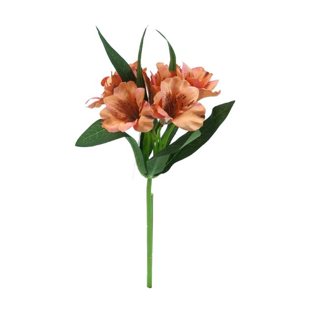 Galho de Astromélia Salmão Galho de Astromélia Salmão