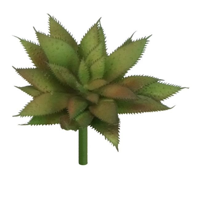 Suculenta Mesclada Suculenta Mesclada