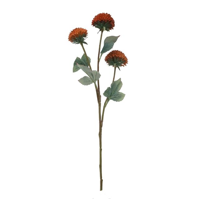 Galho Dália X3 Laranja Galho Dália X3 Laranja