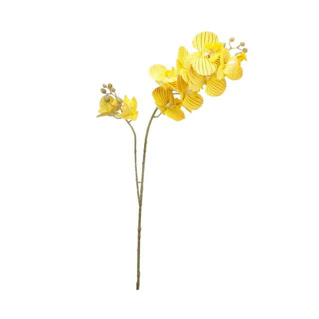Haste de Orquídea Amarela Luxo
