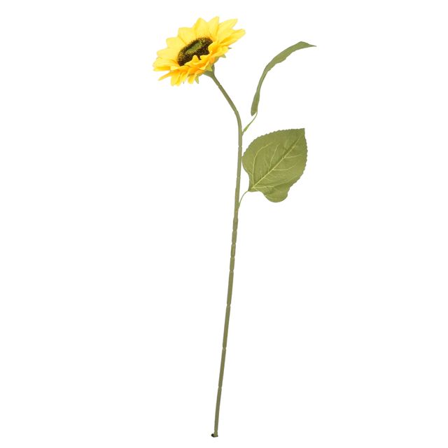 Haste de Girassol 50cm Haste de Girassol 50cm
