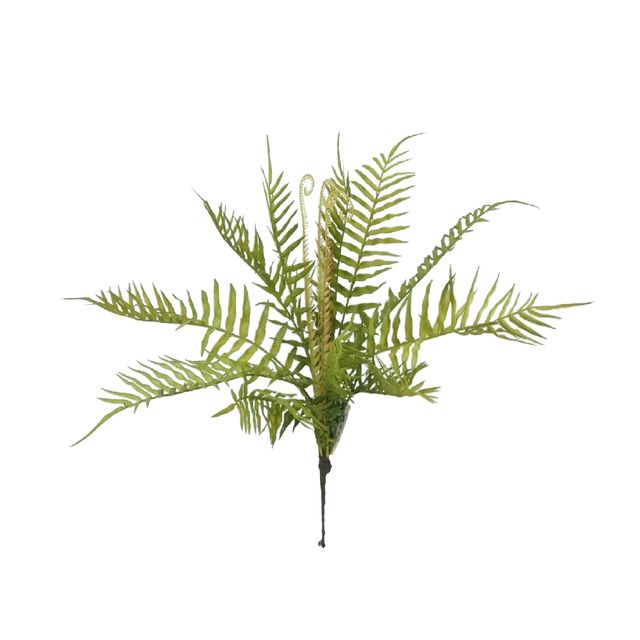 Buquê de Samambaia Verde  Luxo 50cm