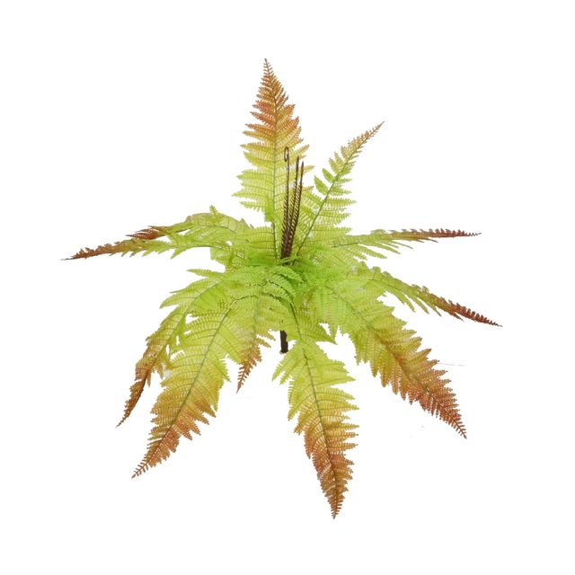 Buquê de Samambaia Verde Outonal  12 Folhas Buquê de Samambaia Verde Outonal  12 Folhas