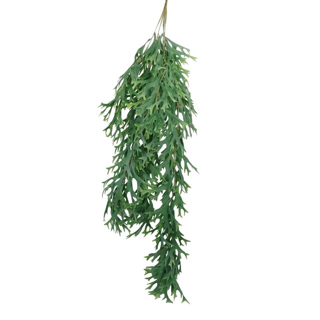 DSC01928edit.jpg DSC01928edit.jpg