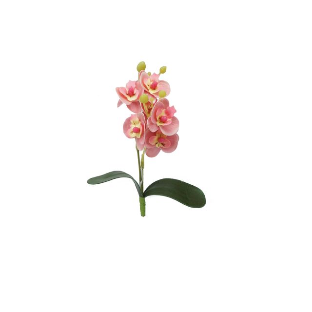 Haste de Orquídea  Rosa18cm Haste de Orquídea  Rosa18cm