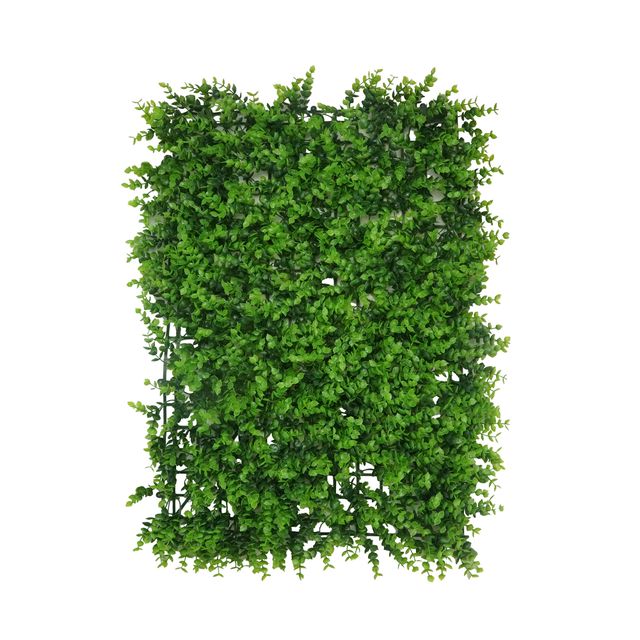 Placa de Grama Mini Eucalipto 40x60 Placa de Grama Mini Eucalipto 40x60