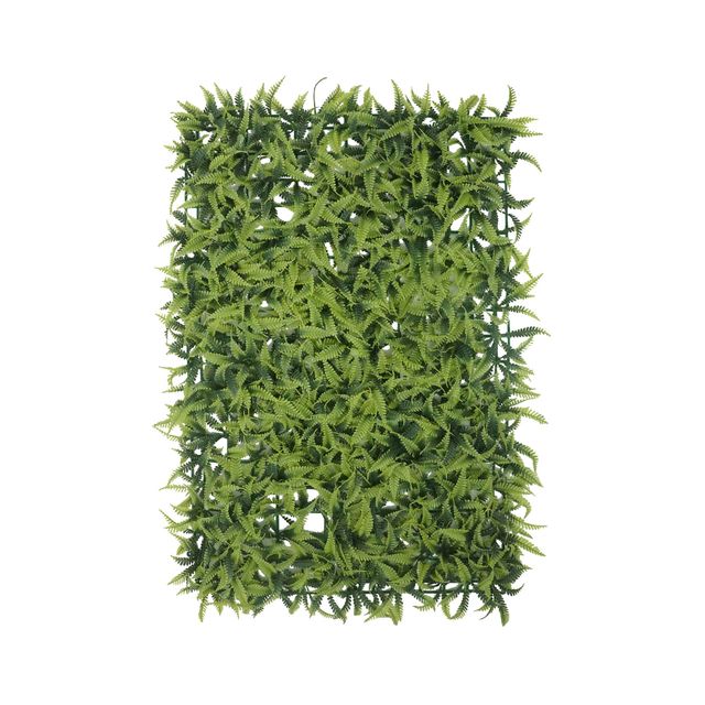 Placa de Grama Samambaia 40x60 Placa de Grama Samambaia 40x60