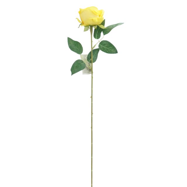 Botão de Rosa Amarela Botão de Rosa Amarela