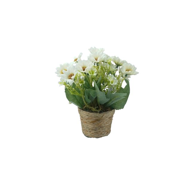 vasomargaridabr-1.jpg vasomargaridabr-1.jpg