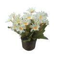 flordocampobr-1.jpg
