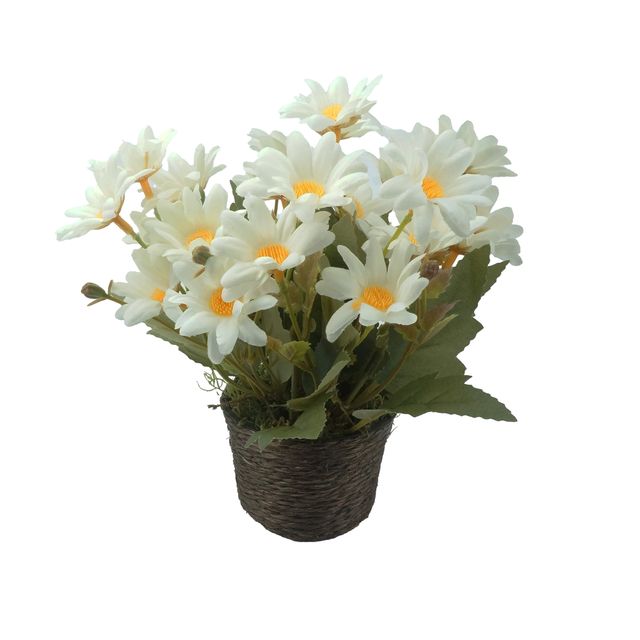 flordocampobr-1.jpg flordocampobr-1.jpg