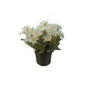flordocampobr-2.jpg