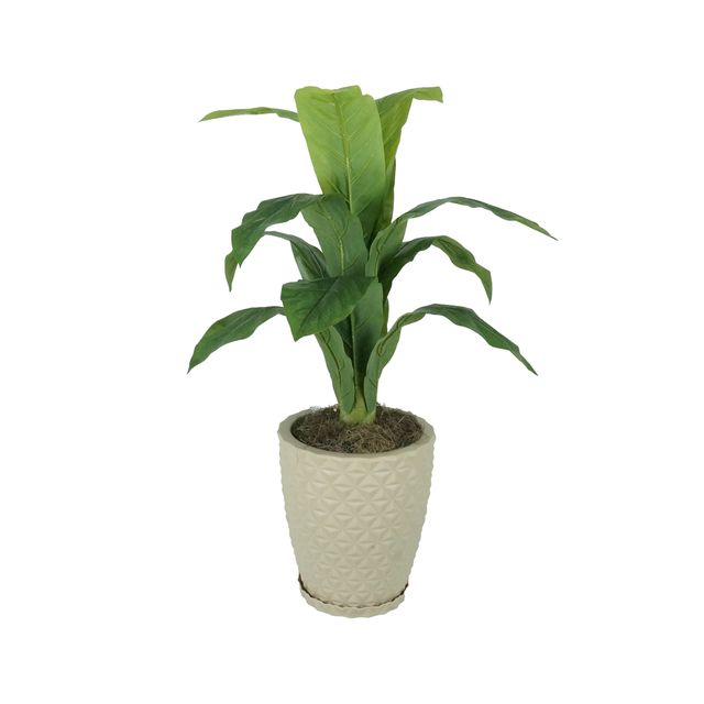 arvore-1.jpg arvore-1.jpg