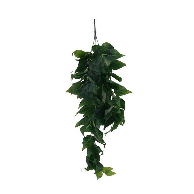 Pendente de Ficus Pendente de Ficus