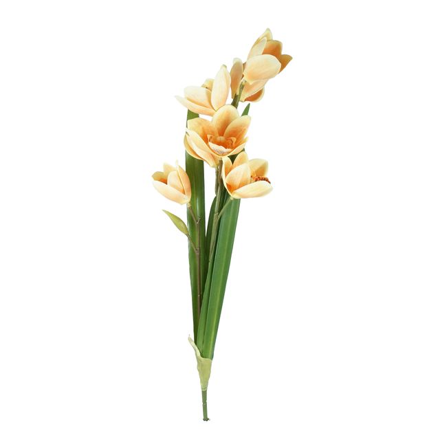 Galho de Orquídea  Cymbidium Laranja Galho de Orquidea Cymbidium Laranja Galho de Orquídea  Cymbidium Laranja Galho de Orquidea Cymbidium Laranja