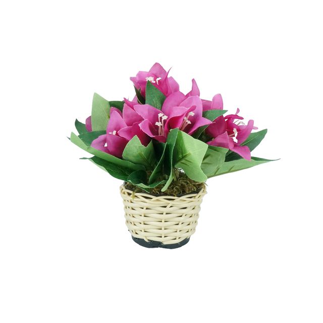 Arranjo Floral de Boungaville Pink Arranjo Floral de Boungaville Pink