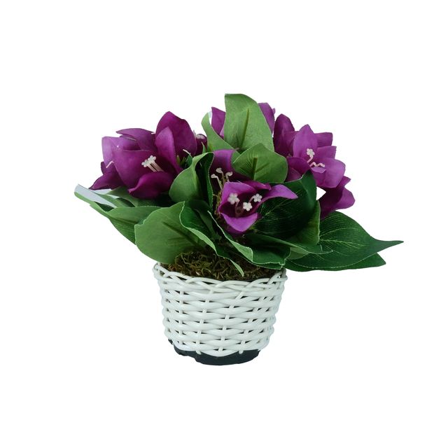 Arranjo Floral de Boungaville Roxo Arranjo Floral de Boungaville Roxo