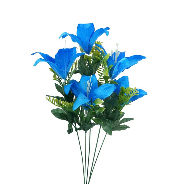 DSC03094-lirioazul.jpg DSC03094-lirioazul.jpg