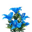 DSC03095-lirio-azul.jpg