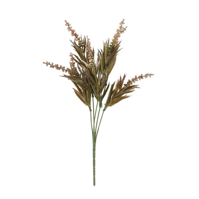 DSC03046-samambaiamarrom.jpg DSC03046-samambaiamarrom.jpg