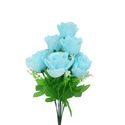 DSC03108-rosaaz.jpg