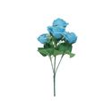 DSC03452-rosa-azul