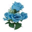 DSC03453-rosa-azul