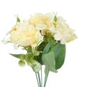 DSC03544-bg407084-AM